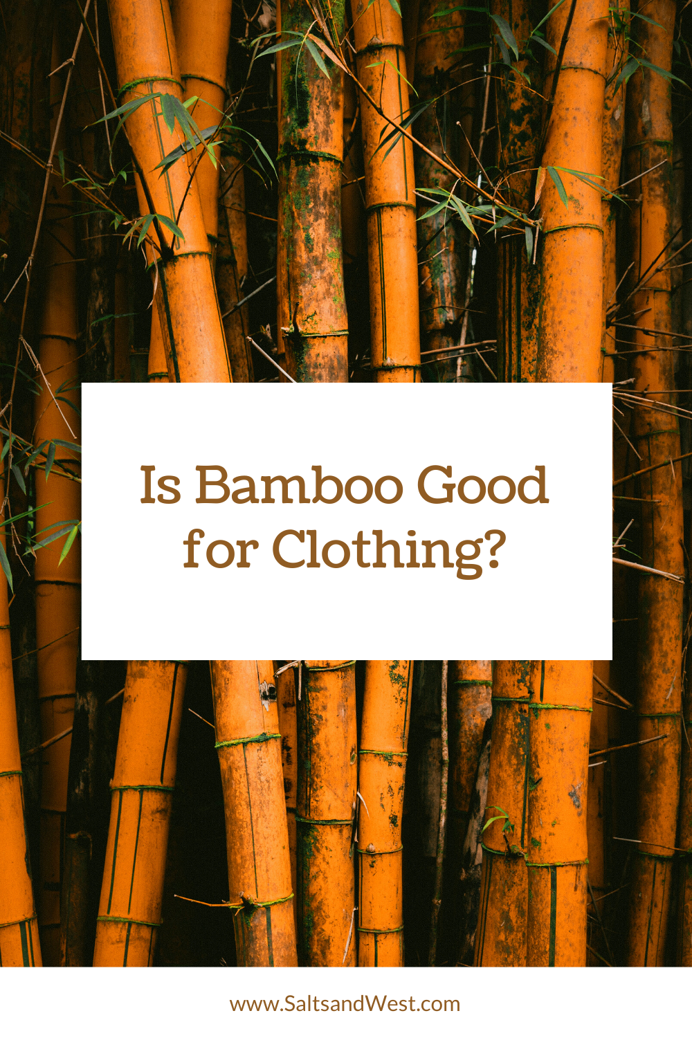 Is Bamboo Good for Clothing?