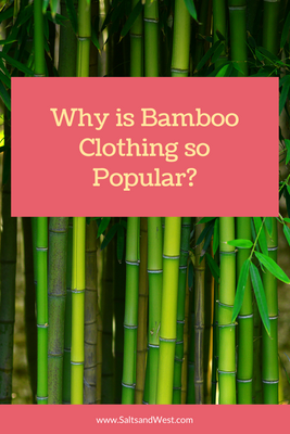 Why Is Bamboo Clothing so Popular?